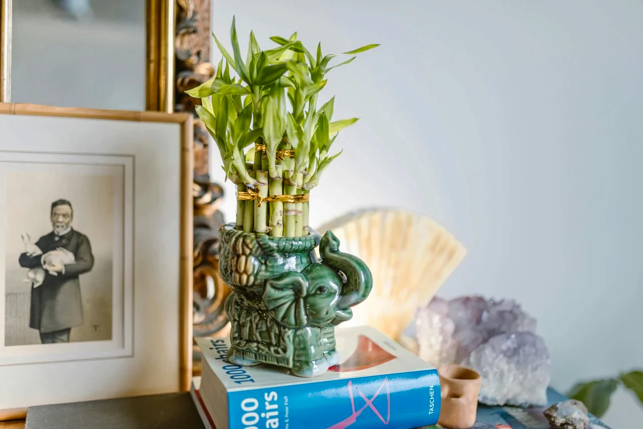 çiçek feng shui